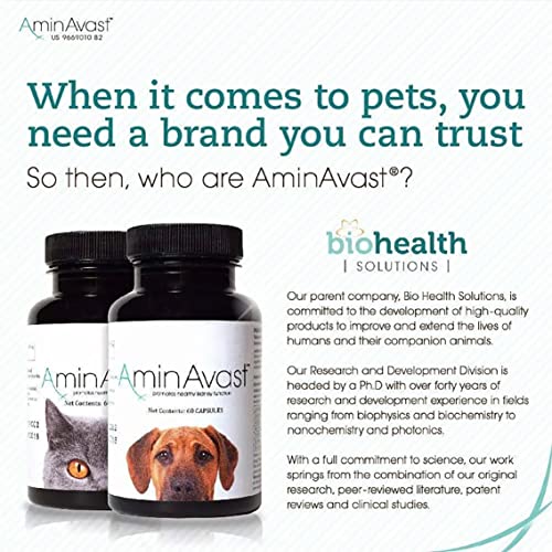 AminAvast Kidney Support Supplement for Cats and Dogs, 300mg - Promotes Natural Kidney Function - Aids in Health and Vitality of Aging Kidneys - Easily Administered - 60 Sprinkle Capsules