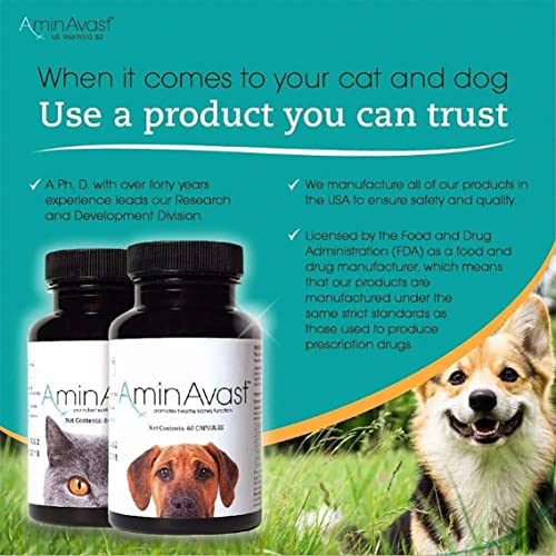 AminAvast Kidney Support Supplement for Cats and Dogs, 300mg - Promotes Natural Kidney Function - Aids in Health and Vitality of Aging Kidneys - Easily Administered - 60 Sprinkle Capsules