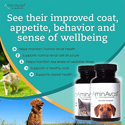 AminAvast Kidney Support Supplement for Cats and Dogs, 300mg - Promotes Natural Kidney Function - Aids in Health and Vitality of Aging Kidneys - Easily Administered - 60 Sprinkle Capsules