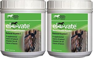 kentucky performance products 2 pack of elevate maintenance power, 2 pounds each, natural vitamin e horse supplement
