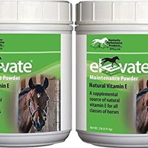 Kentucky Performance Products 2 Pack of Elevate Maintenance Power, 2 Pounds Each, Natural Vitamin E Horse Supplement