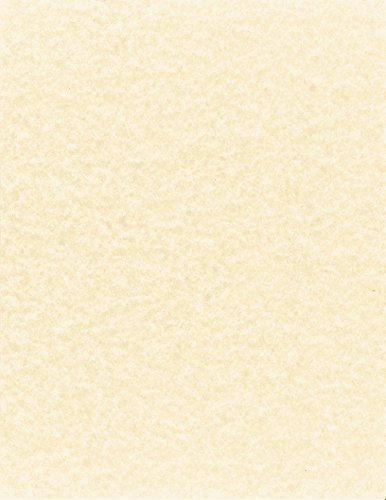 NextParch 8-1/2" x 11" (Letter Size) 65 lb. Parchment Cover Card Stock (Natural)