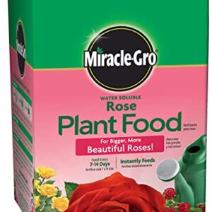 Miracle-Gro Water Soluble Rose Plant Food, 1.5 lb