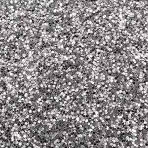 Spectra Arts & Crafts Glitter, Silver, 4 oz., 1 Jar