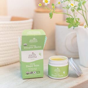 Earth Mama Organic Diaper Balm Multipurpose Baby Ointment | EWG Verified, Petroleum & Fragrance Free with Calendula for Sensitive Skin, 2-Fluid Ounce (2-Pack)