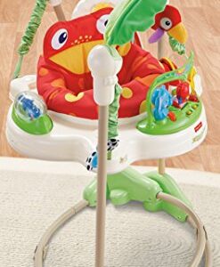 Fisher-Price Baby Bouncer Rainforest Jumperoo Activity Center with Music Lights Sounds and Developmental Toys