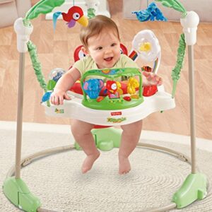 Fisher-Price Baby Bouncer Rainforest Jumperoo Activity Center with Music Lights Sounds and Developmental Toys