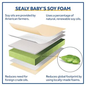 Sealy Soybean Foam-Core Waterproof Baby Crib Mattress and Toddler Mattress - Lightweight Soybean Foam-Core, Greenguard Air Quality Certified - Made in USA, 52"x28"