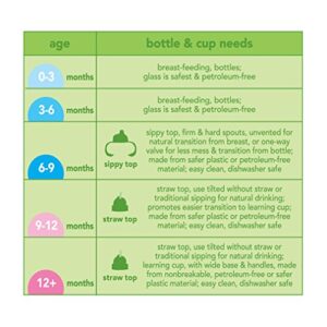 green sprouts Spout Adapter for Water Bottle, Quickly Converts a Standard Bottle into a Sippy Cup, Collar Fits Two Bottle Sizes, One Size