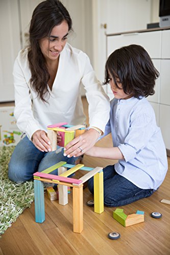 8 Piece Tegu Pocket Pouch Magnetic Wooden Block Set, Tints