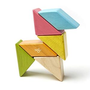 6 Piece Tegu Pocket Pouch Prism Magnetic Wooden Block Set, Tints