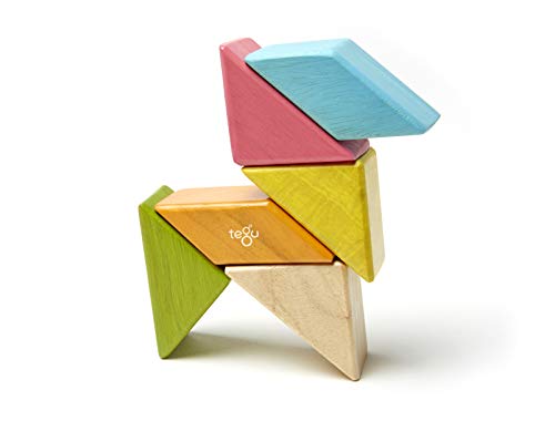 6 Piece Tegu Pocket Pouch Prism Magnetic Wooden Block Set, Tints