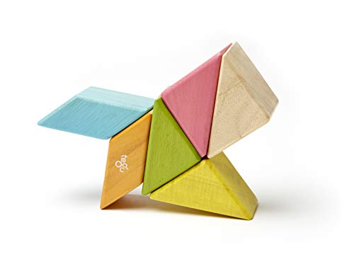 6 Piece Tegu Pocket Pouch Prism Magnetic Wooden Block Set, Tints