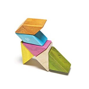 6 Piece Tegu Pocket Pouch Prism Magnetic Wooden Block Set, Tints