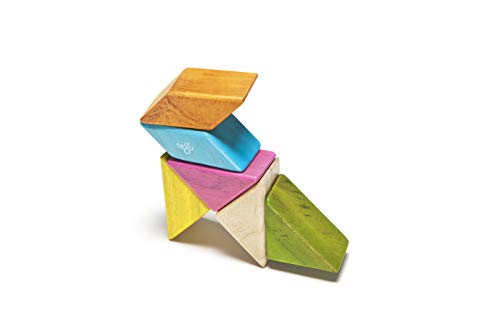 6 Piece Tegu Pocket Pouch Prism Magnetic Wooden Block Set, Tints