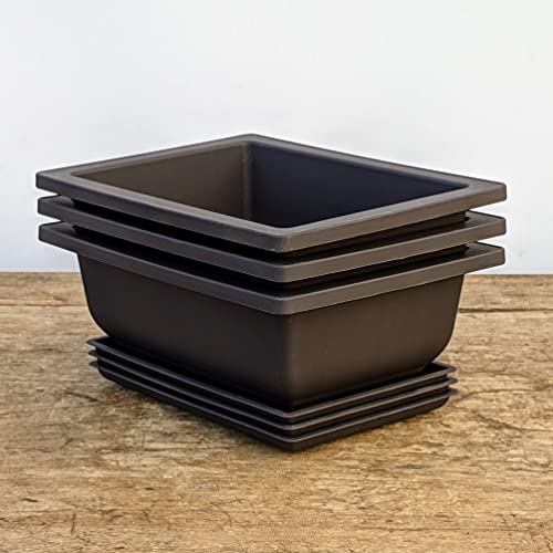 Bonsai Outlet Training Pots with Humidity Trays - Built in Mesh, Six Inch Large Planters + Made from Durable Shatter Proof Poly-Resin, Set of 3 Pot Set…