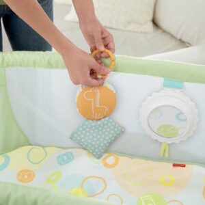 Fisher-Price Rock with Me Bassinet