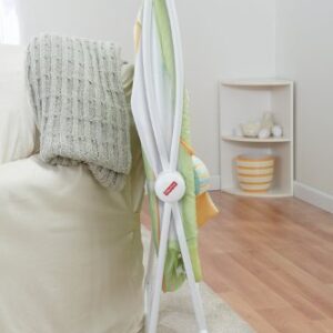 Fisher-Price Rock with Me Bassinet