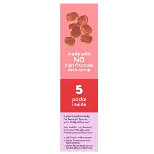 Plum Organics | Teensy Fruit Snacks | Organic Toddler & Kids Snacks | Peach | 0.35 Ounce Snack (40 Total) Packaging May Vary