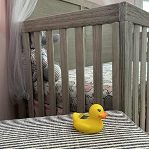 Dreambaby Baby Bath & Room Thermometer - Floating Toy Temperature Safety Monitor - Yellow Duck