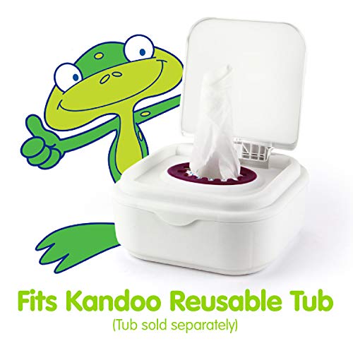 Flushable Wipes for Baby and Kids by Kandoo, Unscented for Sensitive Skin, Hypoallergenic Potty Training Wet Cleansing Cloths , 48 Count, Pack of 12