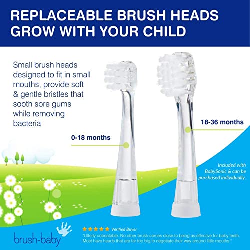 brush-baby BabySonic Infant and Toddler Electric Toothbrush for Ages 0-3 Years - Smart LED Timer and Gentle Vibration Provide a Fun Brushing Experience - Includes 2 Sensitive Brush Heads (Teal)