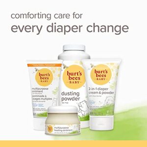 Burt's Bees Baby Daily Cream to Powder, Talc-Free Diaper Rash Cream - 4 Ounces Tube