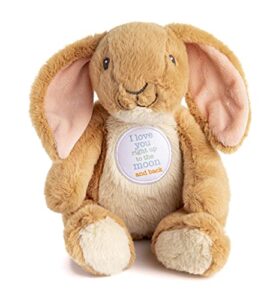 kids preferred guess how much i love you nutbrown hare bean bag plush, 9 inches (96784)