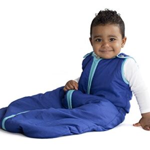 Baby Deedee Sleep Nest Sleeping Sack, Warm Baby Sleeping Bag fits Newborns and Infants,Medium (6-18 Months)