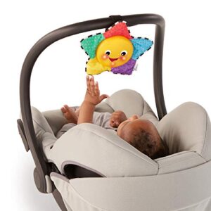 Baby Einstein Star Bright Symphony Plush Musical Take-Along Toy, Ages Newborn + (Pack of 1)