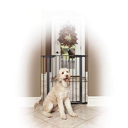MidWest Homes for Pets 29' High Walk-thru Steel Pet Gate, 29' - 38' Wide in Textured Graphite