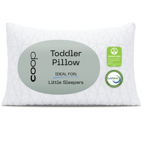 Coop Home Goods Toddler Pillow for Sleeping and Travel - Premium Small Memory Foam Baby Pillow for Kids with Lulltra Washable Pillowcase - Crib & Bed - CertiPUR-US/GREENGUARD Gold Certified (19x13)