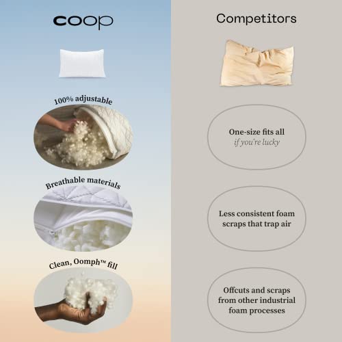 Coop Home Goods Toddler Pillow for Sleeping and Travel - Premium Small Memory Foam Baby Pillow for Kids with Lulltra Washable Pillowcase - Crib & Bed - CertiPUR-US/GREENGUARD Gold Certified (19x13)