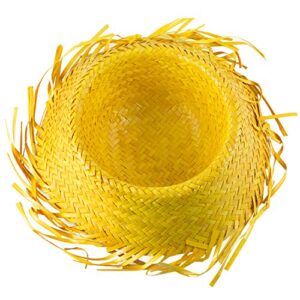 Funny Party Hats Beachcomber Hat – Hawaiian Luau Hat – Farmers Hat – Straw Costume Hat