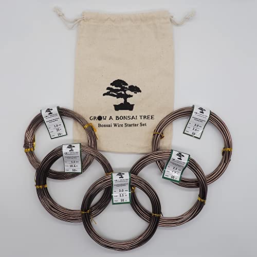 Anodized Aluminum Bonsai Training Wire 5-Size Starter Set with Canvas Bag - 1.0mm, 1.5mm, 2.0mm, 2.5mm, 3.0mm (147 feet total) - Choose Your Color (5 Sizes, Brown)