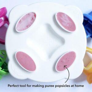 Nuby Garden Fresh Fruitsicle Frozen Pop Tray