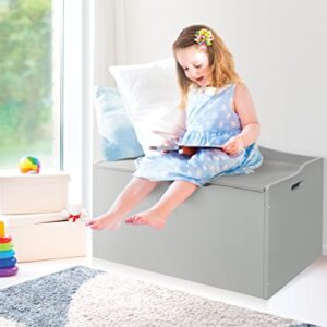 Lift Top Bench Seat Wooden Toy Box with Safety Hinge