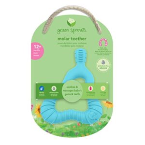 green sprouts Molar Teether made from Silicone | Soothes & massages baby's molar gums & teeth | Soft, flexible silicone eases pain, Easy to hold, gum, & chew, 1 Count (Pack of 1)