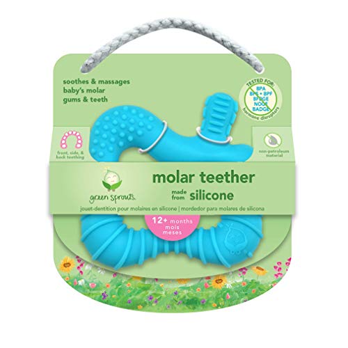 green sprouts Molar Teether made from Silicone | Soothes & massages baby's molar gums & teeth | Soft, flexible silicone eases pain, Easy to hold, gum, & chew, 1 Count (Pack of 1)