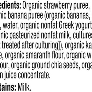 Plum Organics Mighty Food Group Blend Organic Baby Food Meals [12+ Months] Strawberry, Banana, Greek Yogurt, Kale, Amaranth & Oat 4 Ounce Pouch (Pack Of 6) Packaging May Vary