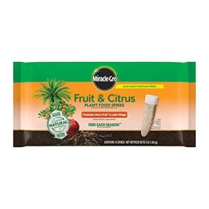 miracle-gro fruit & citrus plant food spikes 12 per pack