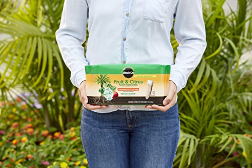 Miracle-Gro Fruit & Citrus Plant Food Spikes 12 per Pack