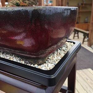 Tinyroots Bonsai Humidity Tray, 9-Inch Drip Tray, Maintains Moisture for Plants and Helps Protect Furniture, Bonsai Tray for Cactus, Succulents, Bonsai, and Houseplants