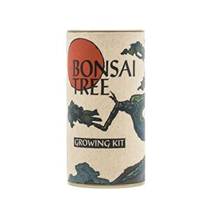 bonsai tree | japanese flowering cherry | seed grow kit | the jonsteen company