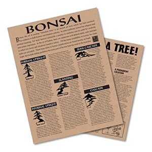 Bonsai Tree | Japanese Flowering Cherry | Seed Grow Kit | The Jonsteen Company