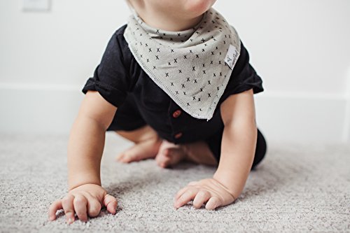 Copper Pearl Baby Bandana Drool Bibs for Drooling and Teething 4 Pack Gift Set “Alta, Soft Set of Cloth Bandana Bibs for Any Baby Girl or Boy, Cute Registry Ideas for Baby Shower Gifts