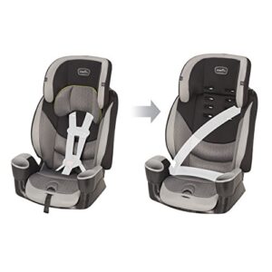 Evenflo Maestro Sport Harness Booster Car Seat, Crestone Peaks