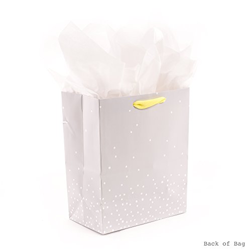 Hallmark 9" Medium Baby Gift Bag with Tissue Paper - Baby Banner in Grey, Pink and Blue for Baby Showers, New Parents, and More