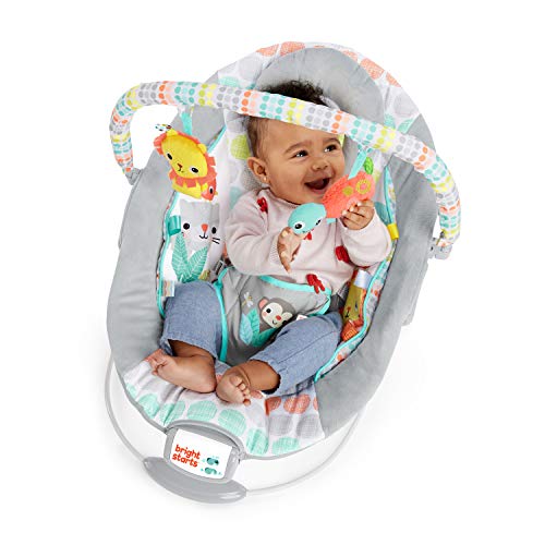 Bright Starts Comfy Baby Bouncer Soothing Vibrations Infant Seat - Taggies, Music, Removable-Toy Bar, 0-6 Months Up to 20 lbs (Whimsical Wild)