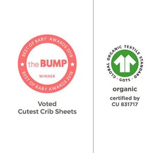 Burt's Bees Baby - Fitted Crib Sheet, Boys & Unisex 100% Organic Cotton Crib Sheet for Standard Crib and Toddler Mattresses (Hello Moon!) 28x52 Inch (Pack of 1)